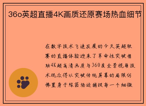 36o英超直播4K画质还原赛场热血细节